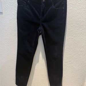 Ann Taylor Women's Navy Velvet Skinny Pants